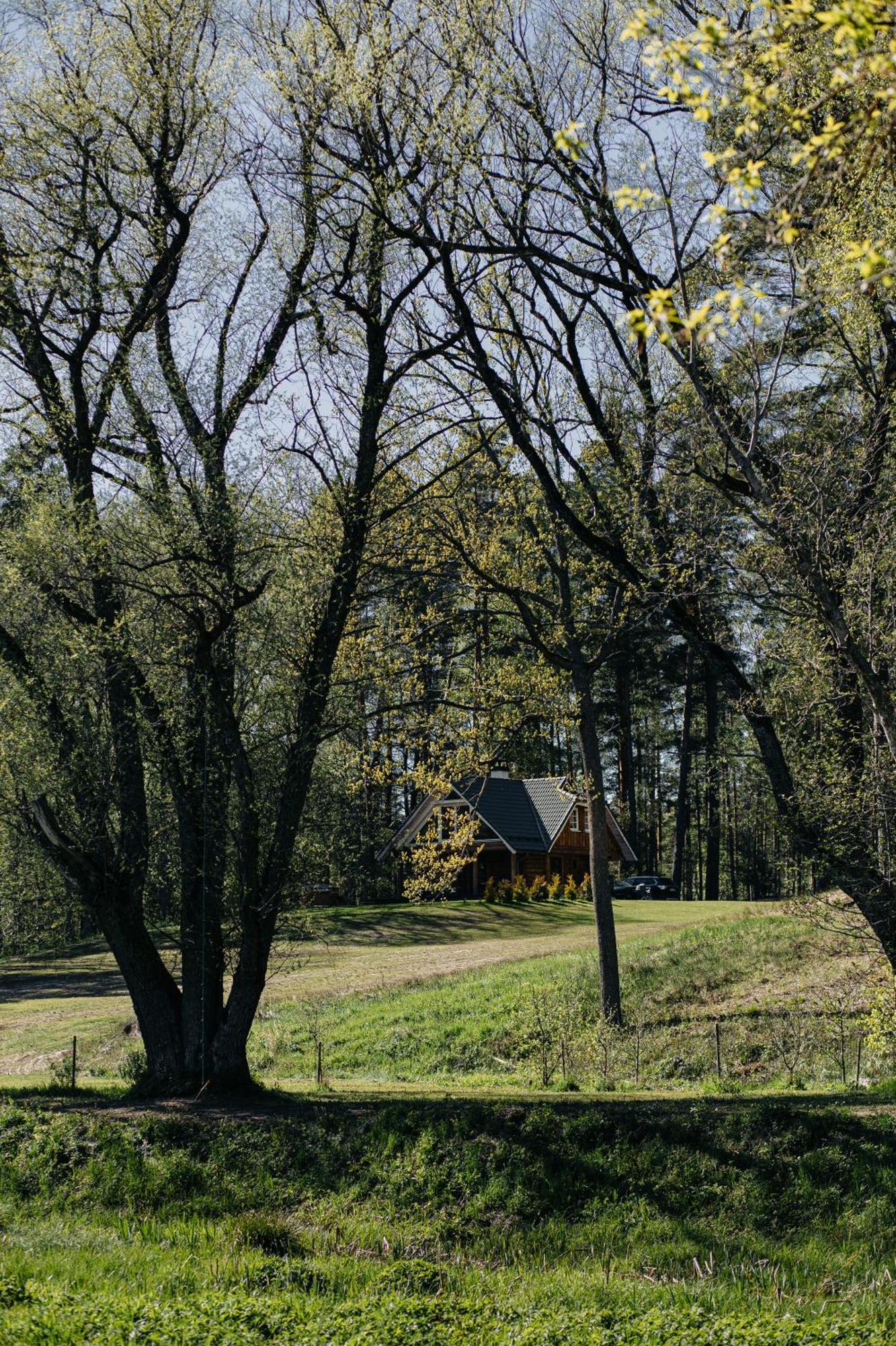 "Gaujmale" Sauna House In Nature Laukbeitini Exteriör bild